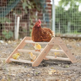 PETSFIT Chick Perch Prevent Rotation Design, Strong Wooden Chicken Roosting Bar, Easy to Assemble and Clean, Fun Toys for Chick Indoor/Outdoor Use