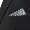 SHLAX&WING Men's Silver Black Paisley Silk Pocket Square, 12.6 x