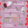Known Pregnancy Support Gummies with 400mcg Folic Acid – Raspberry