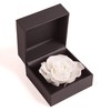 ROSEMARIE SCHULZ Heidelberg Rose Box 1 Infinity Rose White Preserved