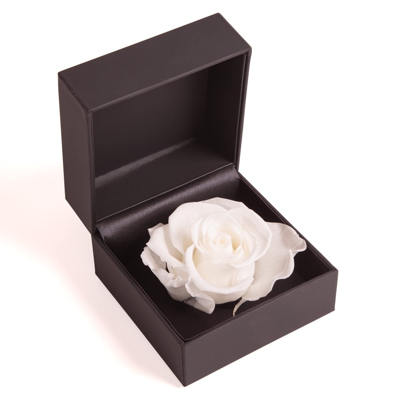 ROSEMARIE SCHULZ Heidelberg Rose Box 1 Infinity Rose White Preserved