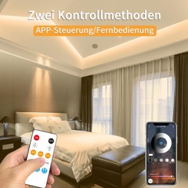 Yeewhale Cob LED Strip 10 m, App Control, with Remote Control, Flexible Dimmable COB LED Strip, DC24 V 3000 K Warm White LED Strip, Applicable to Bedroom, Room, DIY Decoration