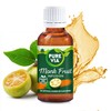 Pure Via Monk Fruit Infusion – A New Way to
