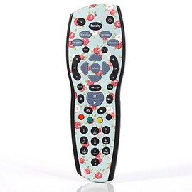 Shabby Chic with Roses Remote Sticker Skin