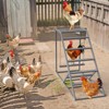 Chicken Perch for Coop with Chicken Swing and Chicken Ladder