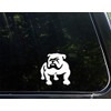 Sign Depot Bulldog 4 Inches