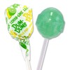 Dum Dums Lemon Lime Lollipops - Bulk Candy Bag with