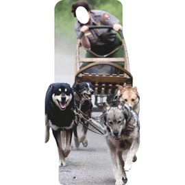 SS11090 Dog Sled Rider Race Snow Dogs Desert Dogs Sleigh Stand in Cardboard Cutout Standee Standup