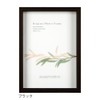 A.P.J. Art Box Frame (Height: 35mm) A4 Size (210x297mm) Black