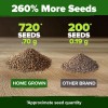 HOME GROWN Culantro Seeds - 720+ 𝗡𝗢𝗡-𝗚𝗠𝗢, 𝗨𝗦𝗔-𝗦𝗢𝗨�
