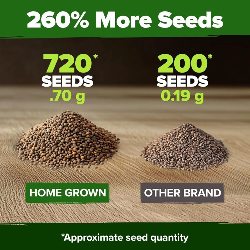 HOME GROWN Culantro Seeds - 720+ 𝗡𝗢𝗡-𝗚𝗠𝗢, 𝗨𝗦𝗔-𝗦𝗢𝗨�