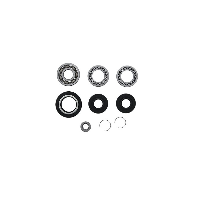 Bearing & Seal Kit for Honda FourTrax 300 TRX300 1988-2000