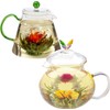 Té floreciente de jazmín, lirio de hadas y flores de