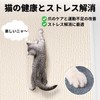 bath & bath Cat Claw Sharpener, Mat, Nail Sharpener, 11.8