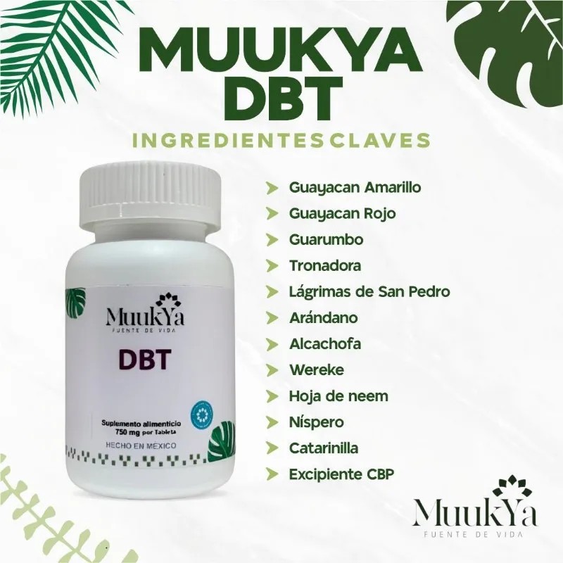Muukya Dbt Tratamiento Para 3 Meses