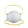 HDX N95 Disposable Adult Respirator Mask (10-Pack)