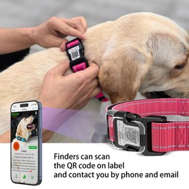Airtag Dog Collar with QR Code, Reflective Dog Collar with Airtag Holder, Soft Padded & Safety Locking Buckle Adjustable Dog Collar for Small Dogs (S-with Airtag Holder,Rose)
