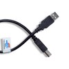 Cablelera 10' USB A-M/B-M Cable (ZCCDDKMM-10)