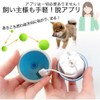 Electric Cat, Dog, Toy Ball, Cat, Toy, Automatic, Moving, Cat,