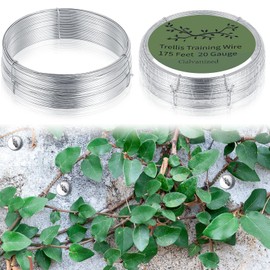 WILLBOND 350 Feet Plants Trellis Training Wire 2 Rolls Trellis Wire for Climbing Plants for Garden Fence