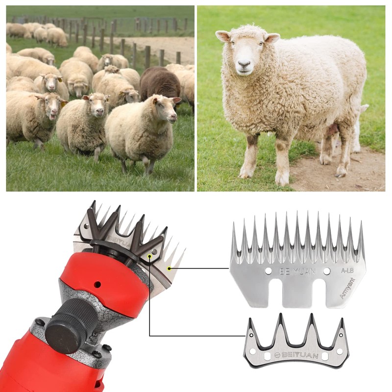 MUYIRTED Sheep Clipper Upper and Bottom Blade, Stainless Steel Wool