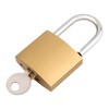 PINGEUI 12 Pack Small Brass Padlock, Padlocks with Keys, Mini