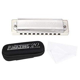 KONGSHENG AM-20D Phosphor Bronze Reed 10 Hole 20 Tone Blues Harmonica in the Key of D with Padded Box Cleaning Cloth By RiToEasysports.(white) Wind Instrument