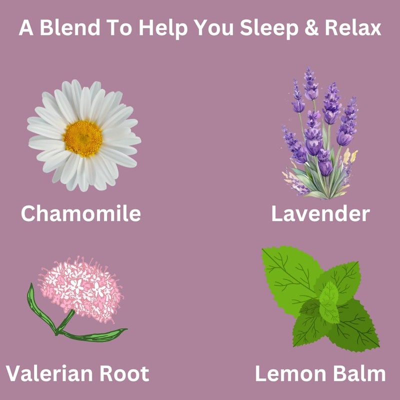 Sleep Easy Herbal Tea (w/Chamomile, Lavender, Lemon Balm, Valerian Root,