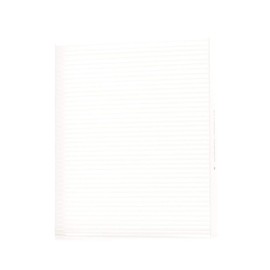 STARK SKIF-0170011 Filter, Innenraumluft Staubfilter, Pollenfilter, Mikrofilter