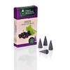 Crottendorfer Incense Cones Flower & Fruits Cassis Scent Size M