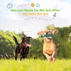 LEGEND SANDY - Juguetes chirriantes para perros pequeños y medianos,