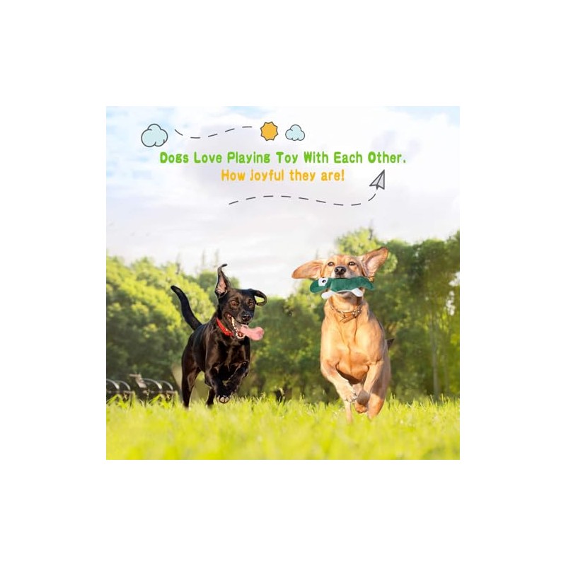 LEGEND SANDY - Juguetes chirriantes para perros pequeños y medianos,