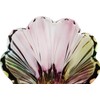 Flower Vase Large Size11.8 inch Phoenix Tail Shape Thickened Crystal