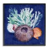 Stupell Industries Urchin Sea Life Framed Giclee Art Design by