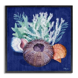 Stupell Industries Urchin Sea Life Framed Giclee Art Design by Paul Brent