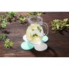 Osumu Coasters, Table, Water Drops, Convenient, Cute Set, Diatomaceous Earth,