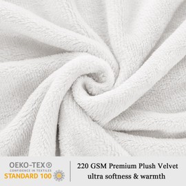 HCORA Fleece Fitted Sheet Queen Size - Super Soft Fuzzy Fitted Sheet with 16" Deep Pocket - Plush Velvet Bottom Sheet Fleece Fitted Sheet for Winter, No Shedding, Fitted Sheet Only, White