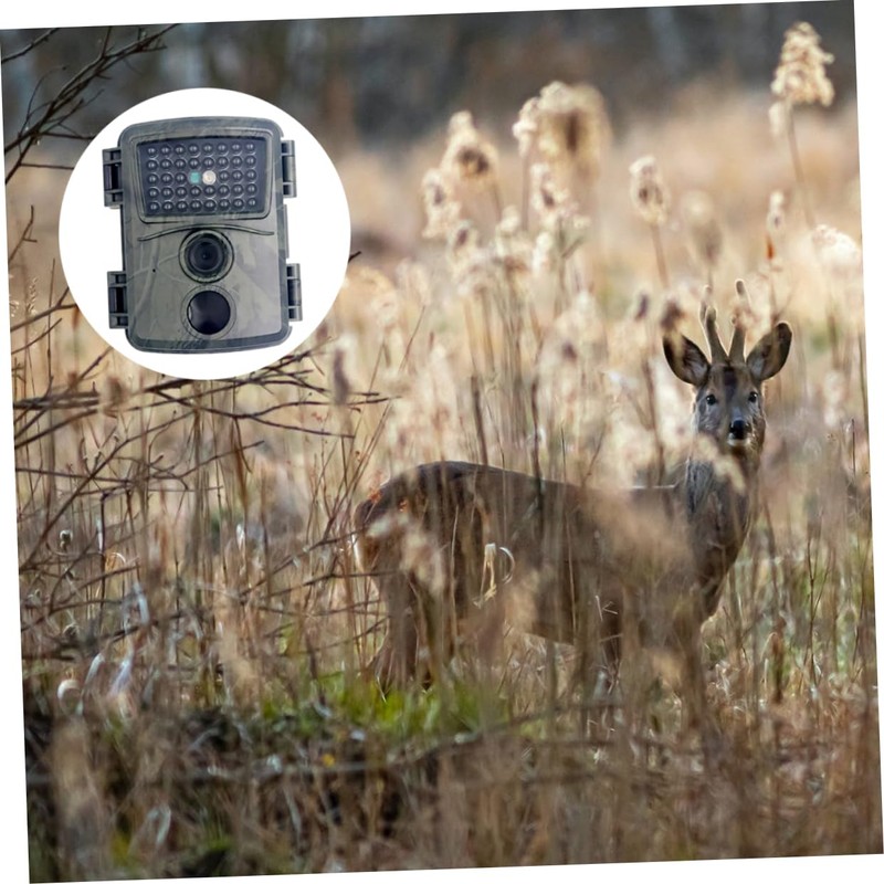 CORHAD Pr600a Hunting 1.2m Pixel Waterproof for Wildlife and Night