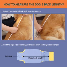 Avont Dog Surgery Recovery Suit, Post-Spay/Neuter Onesie for Female/Male Puppies, Breathable Bodysuit Surgical Shirt E-Collar & Cone Alternative, Anti-Licking Protection for Wounds -Blue (3XS)