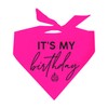 It's My Birthday Dog Bandana (Neon Pink, OS 966)