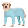 Axcimond Dog Bodysuit Post Surgery Dog Onesie with Zipper Full