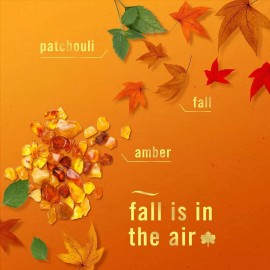 Febreze 3 FEBREZE LUXE AIR CRISP FALL BREEZE AMBER PATCHOULI Non Aerosol Spray Freshener