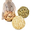 SunGrow Assorted Rabbit Chew Balls, Teething Activity Toy for Pocket