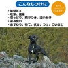 Fantasy World TDX-5SS Dog Training Disc