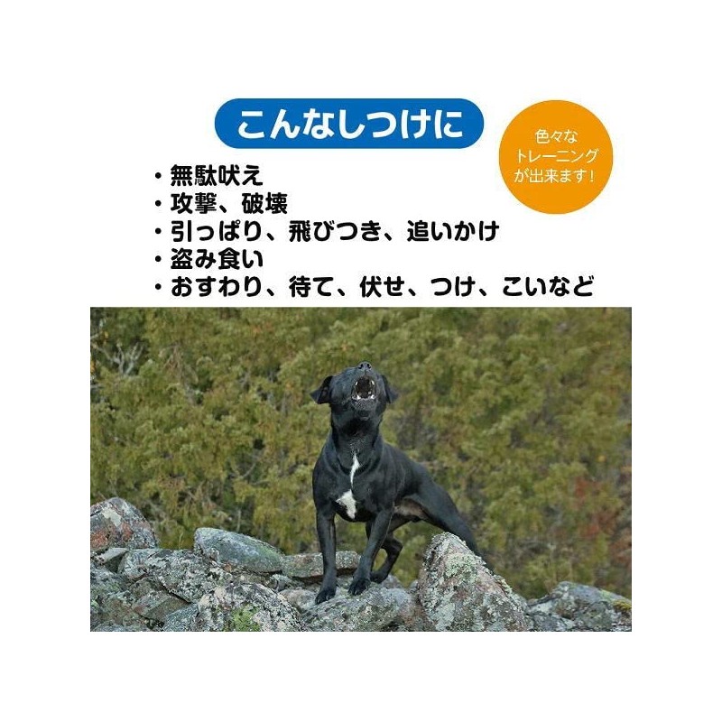 Fantasy World TDX-5SS Dog Training Disc