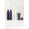 Pai-Shau Biphasic Infusion - Oil-Free Hair Rejuvenating Serum - Provides