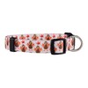 Native Pup Thanksgiving Dog Collar, Cute Fall, Autumn, Turkey Holiday