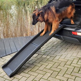 ProPlus 730010 Stable Dog Ramp