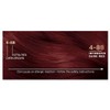 Napro Palette Permanent Hair Colour 4 - 88 Intensive Dark