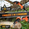 2-in-1 Cordless Pole Saw & Mini Chainsaw, Brushless Electric Pole